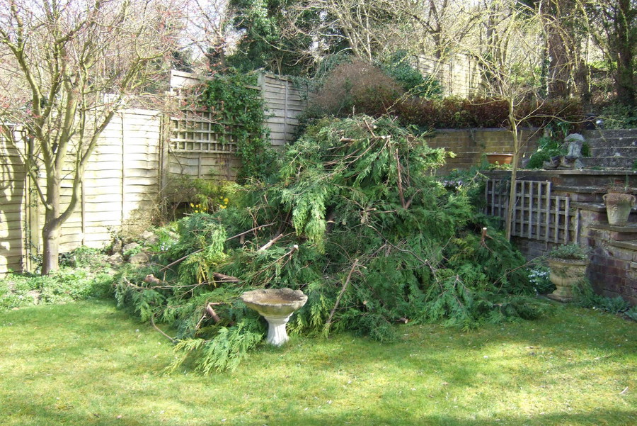 Garden Clearance on Garden Clearance